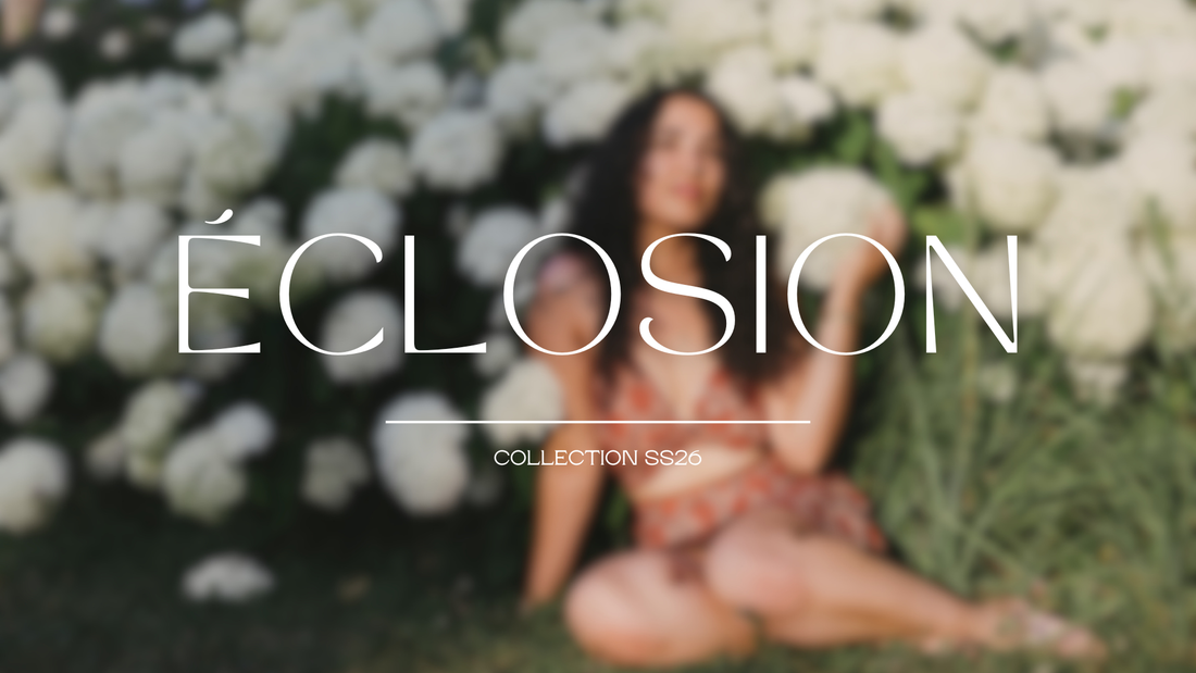 ÉCLOSION : HUIT ANS D'HISTOIRE, UN NOUVEAU CHAPITRE